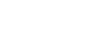 Think Global Solutions.png